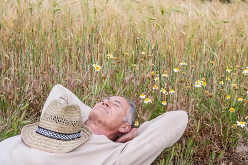 Preview: Man with hands behind head lying down in wildflower meadow