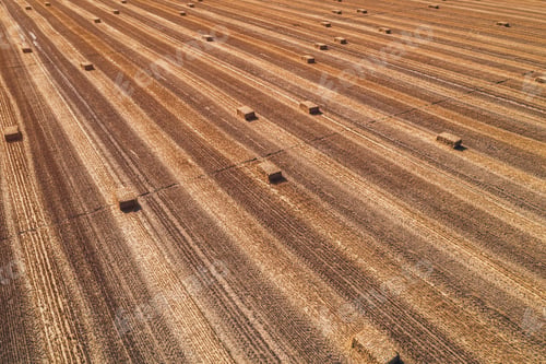 Preview: Aerial view of square hay bales in field after harvest