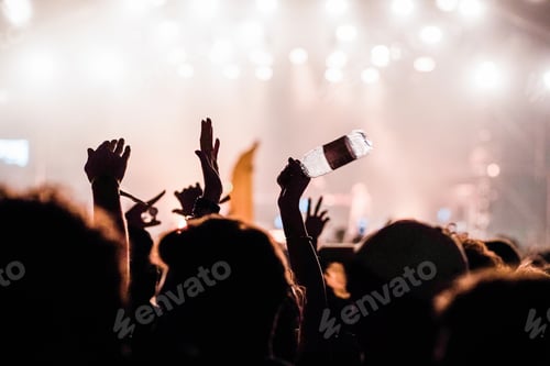 Preview: crowd at concert - summer music festival