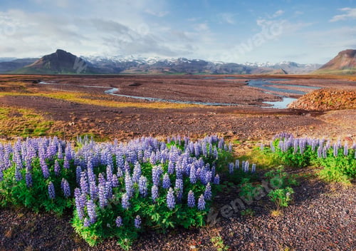 Preview: The beautiful landscape of mountains and rivers in Iceland