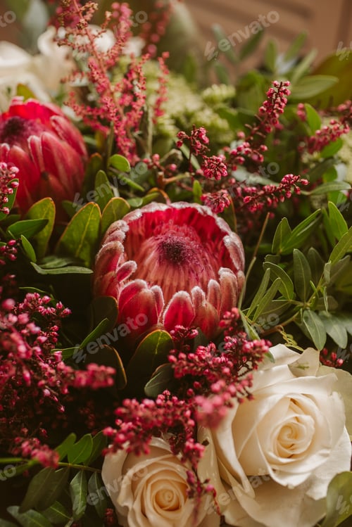 Preview: Bunch of red protea flowers.