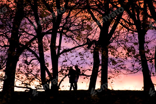 Preview: landscape outdoor