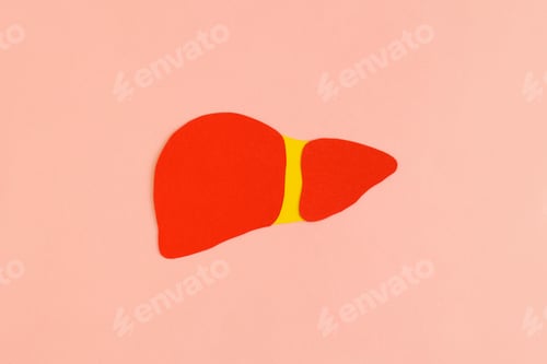 Preview: Liver on yellow background