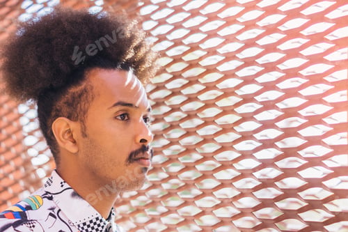 Preview: horizontal image of black guy with afro hair collected against metallic red grid background