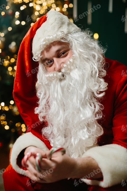 Preview: Santa claus holding candy canes in front of christmas tree