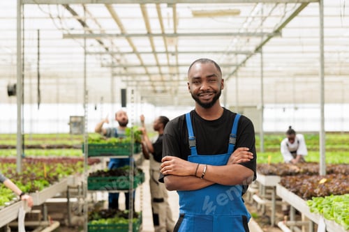 Preview: Portrait of smiling man posing with arms crossed in modern greenhouse with organically grown
