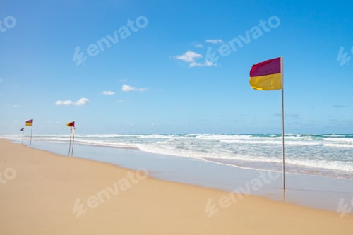 Preview: Gold Coast Lifeguard