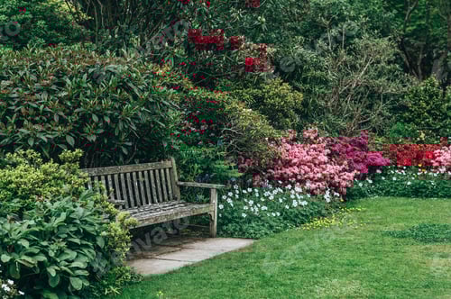 Preview: Garden with blooming trees during spring time