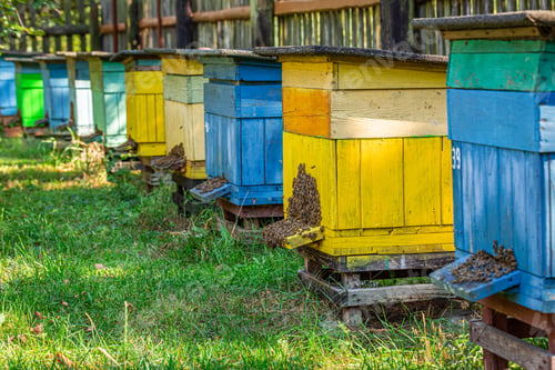 Preview: Old apiary in countryside, Poland in summer