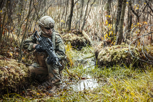 Preview: norwegian soldier in the forest