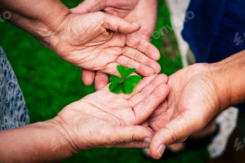 Preview: Old hands people holding with love