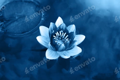 Preview: blue