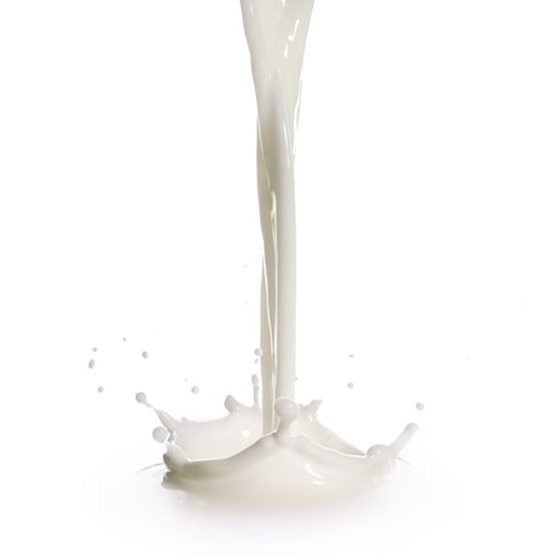 Preview: Fresh milk pouring and splashing on white background