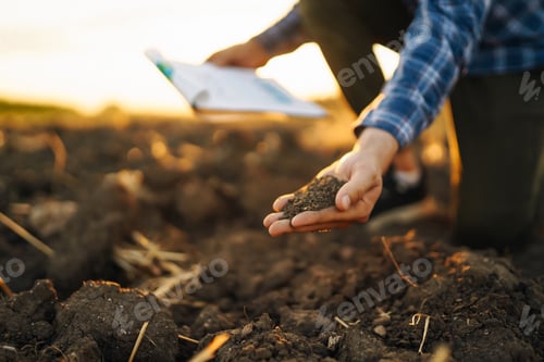 Preview: Hand of farmer collect soil, checking soil health before growth seed of vegetable Harvesting concept