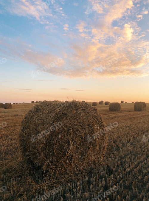 Preview: haystacks in the field at sunset