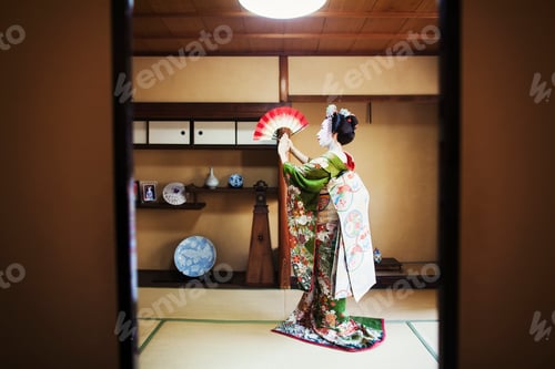 Preview: A woman dressed in the traeditional geisha style, wearing a kimono and obi, with an elaborate