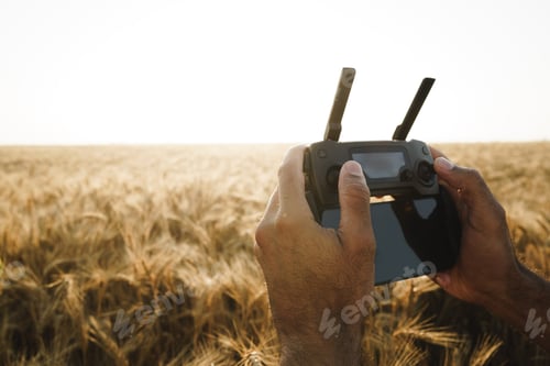 Preview: Male hands holding remote controller of quadcopter in wheat field