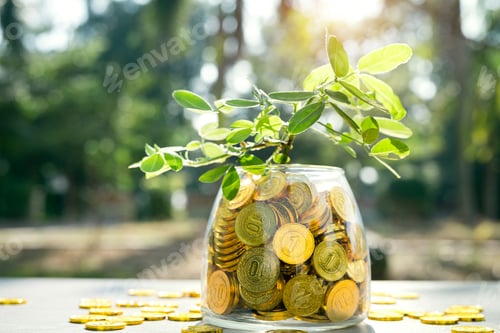 Preview: Gold COINS