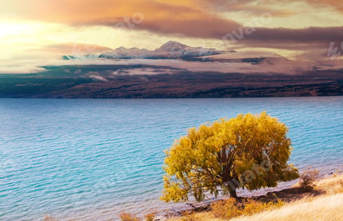Preview: Autumn lake