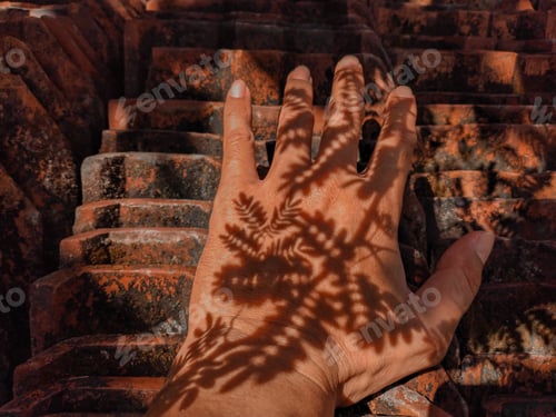 Preview: close up of human hand under the shadow of a leaf