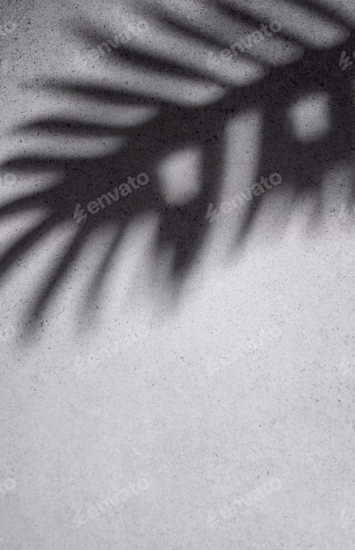 Preview: Shadows from palm leaves