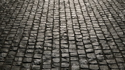 Preview: Closeup shot of the ground in the park