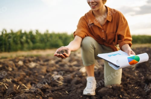 Preview: Female Hand of expert farmer collect soil and checking soil health before growth a seed of vegetable
