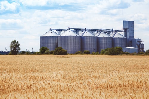 Preview: the grain elevator