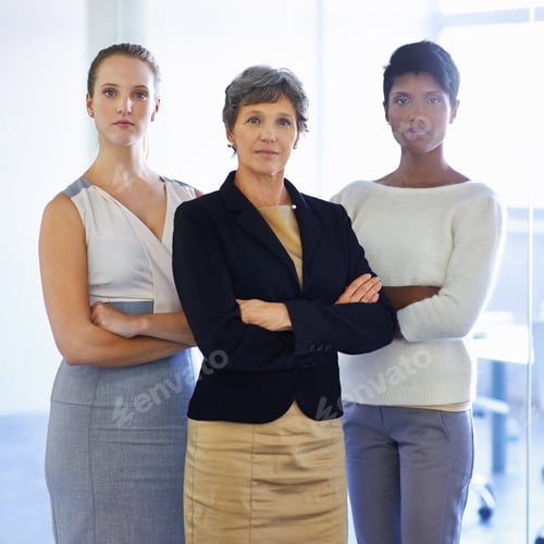 Preview: A portrait of three ambitious businesswoman standing in their office