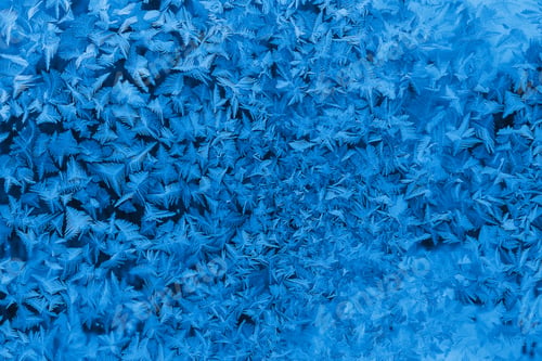 Preview: Beautiful ice pattern on winter window