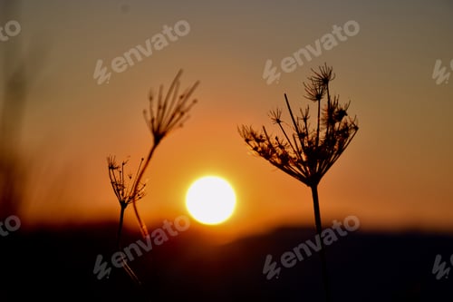 Preview: Sunset