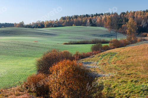Preview: Latvian countryside in autumn with green grass field, hills and colourful trees foliage