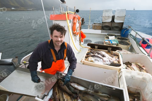 Preview: Fisherman gutting fish on boat