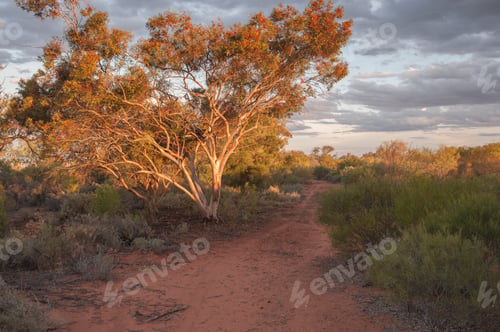 Preview: Golden sunset at Menindee Lakes