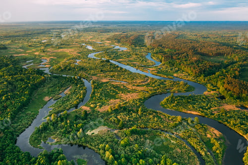 Preview: Aerial View Green Forest Woods And River Landscape In Sunny Spri