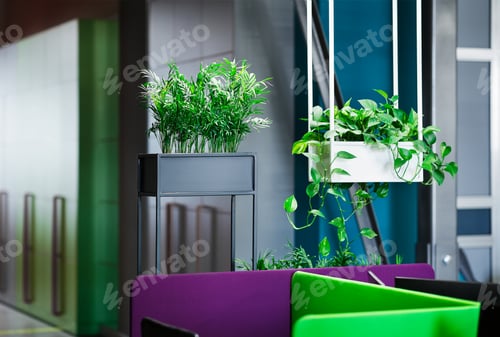 Preview: Relaxation area in modern office interior with green plants
