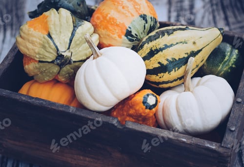 Preview: Gourds and mini pumpkins in a old rustic wooden crate
💲