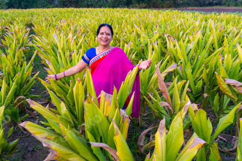 Preview: Happy woman walking in the turmeric field.