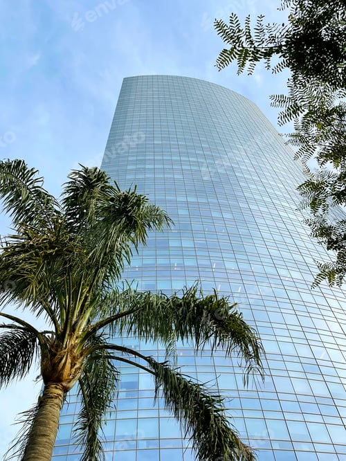 Preview: Palm and skyscraper in a residential area of Puerto Madero, Buenos Aires, Argentina