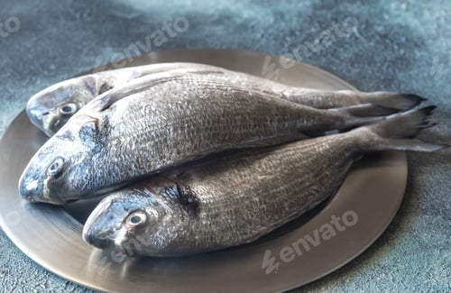 Preview: Sea bream (dorada) fish