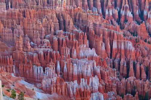 Preview: Bryce