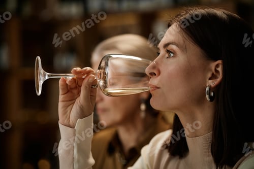 Preview: Young Caucasian Woman Tasting Wine Beside Senior Caucasian Woman Indoors