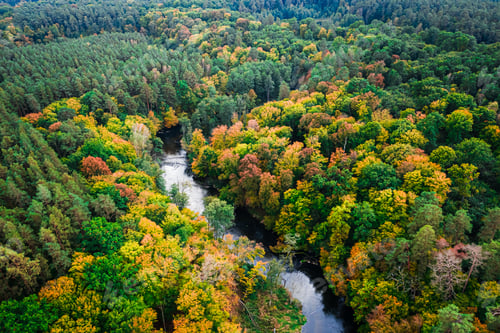Preview: Top down view of winding autumn river