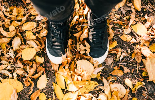 Preview: Woman stands on autumn fallen leaves in a park, outdoor.