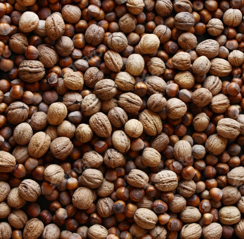 Preview: Close up of fresh walnuts and hezelnuts