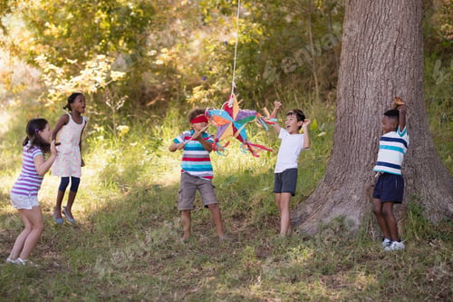 Preview: Friends cheering for blindfolded boy hitting pinata hanging on tree
