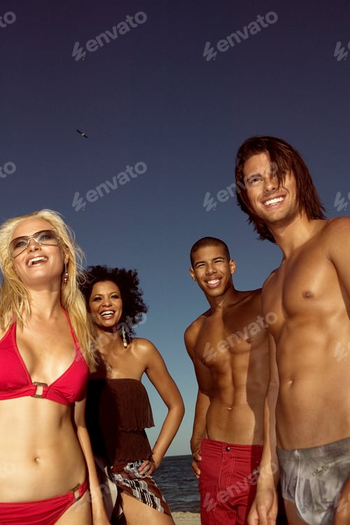 Preview: Portrait of friends on a beach