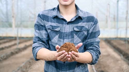 Preview: Young male agronomist holding soil and examining quality of fertile agricultural field.