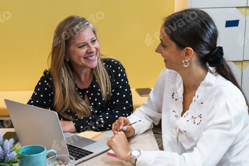 Preview: Smiling female coworkers discussing project in office
