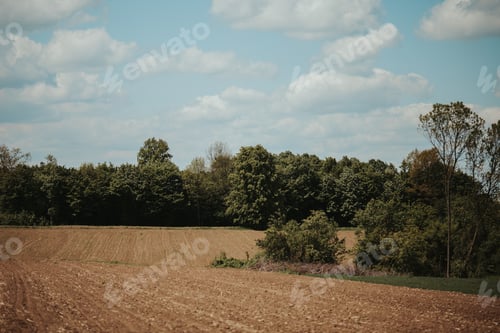 Preview: Scenic view of a cultivated field surrounded by nature on a cloudy sky background